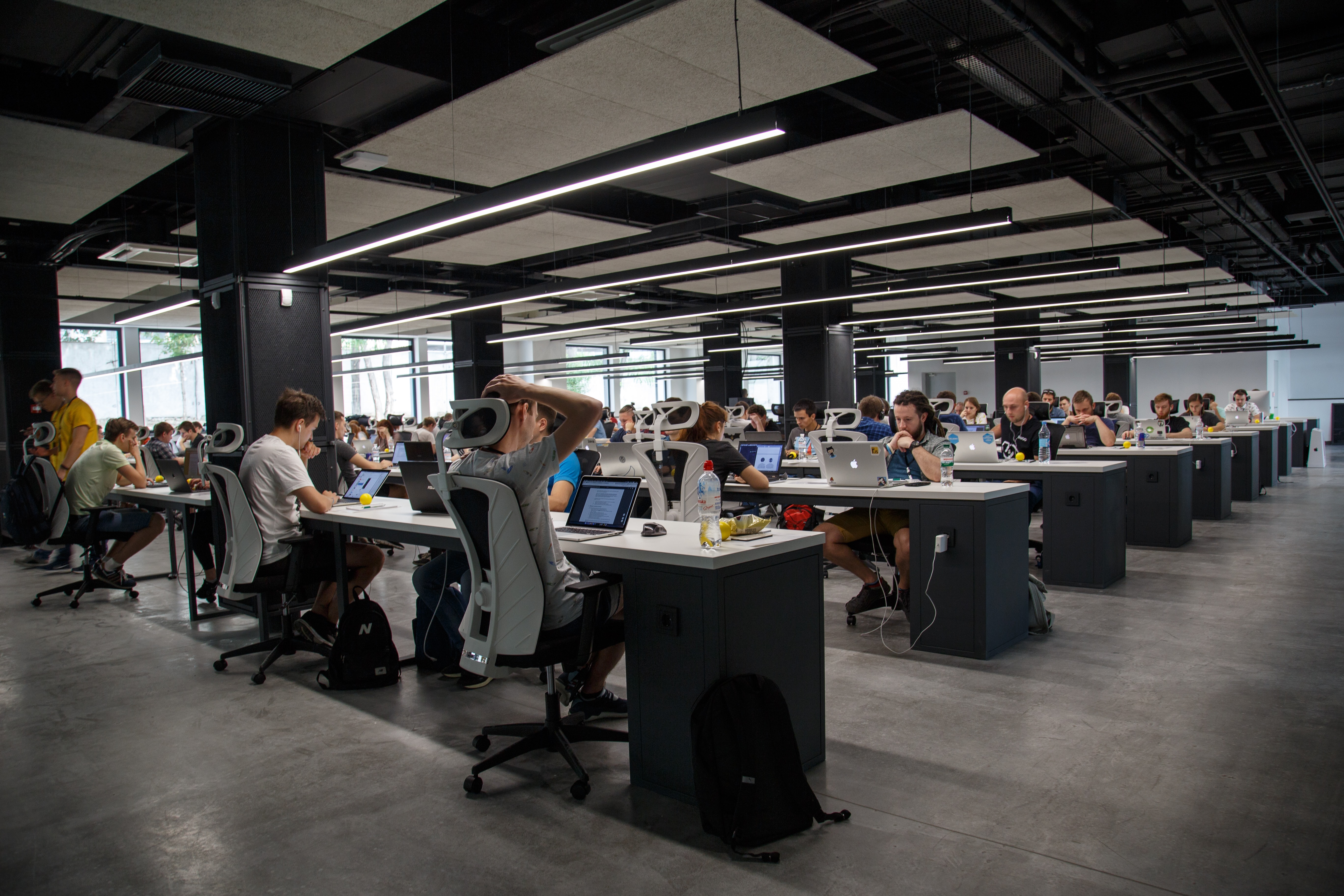 Employees sitting at their desks working on computers